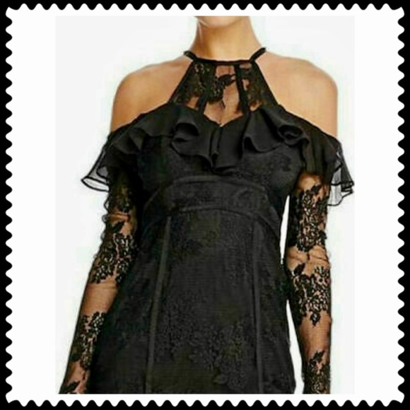 TJD Aphrodite Lace Dress (NWT) - Picture 2 of 11